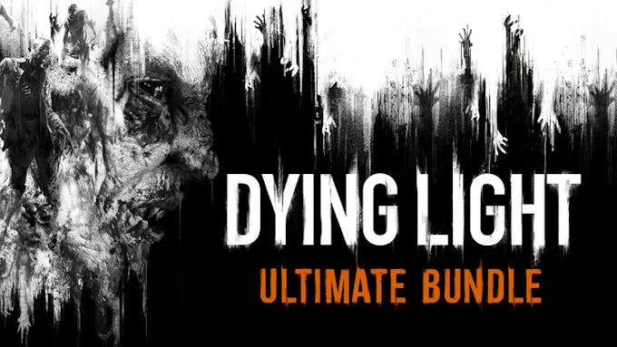 Day Two bundles